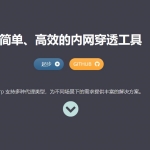 frp软件windows版本搭建内网穿透-类似花生壳的内网版软件-480P 清晰-HEVC